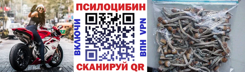 цены   Шилка  Псилоцибиновые грибы Cubensis 