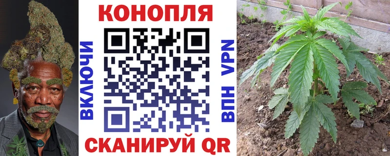 KRAKEN tor  наркотики  Шилка  Каннабис планчик 